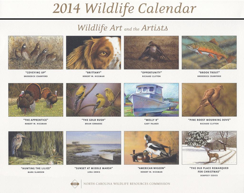 RWH Recent Photos RWH Recent Photos